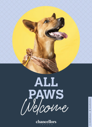 dog friendly chancellors tavern